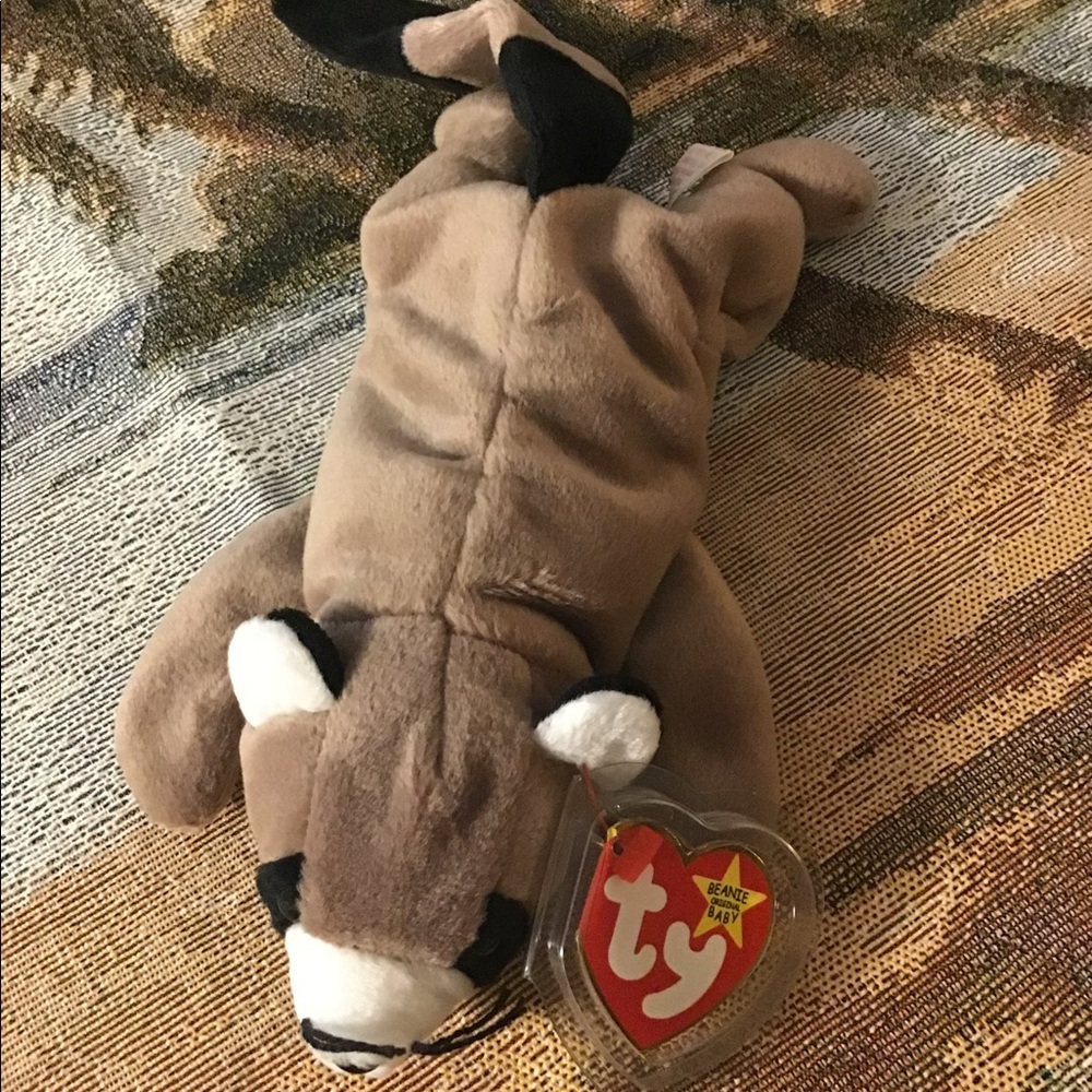 TY beanie Raccoon 🦝 Ringo hang tag in plastic NWT cute brown black .